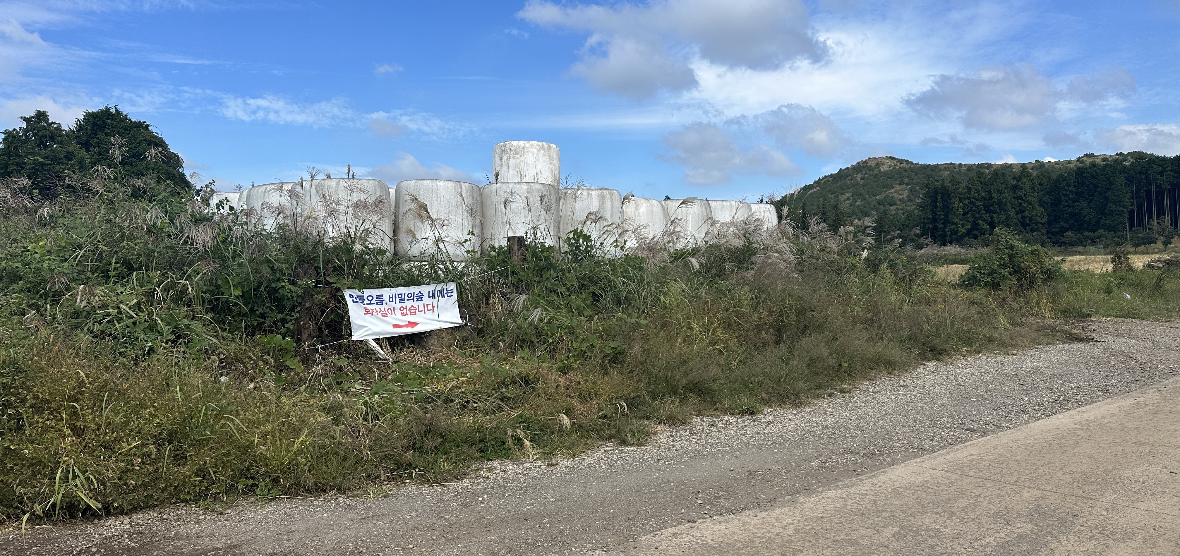 안돌오름 가는길