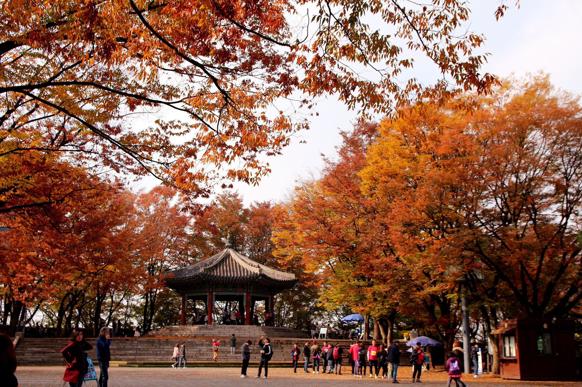 정자가 보이고 그 앞에 사람들이 서있다. 카메라 앞쪽 단풍이 든 나무들이 보인다.