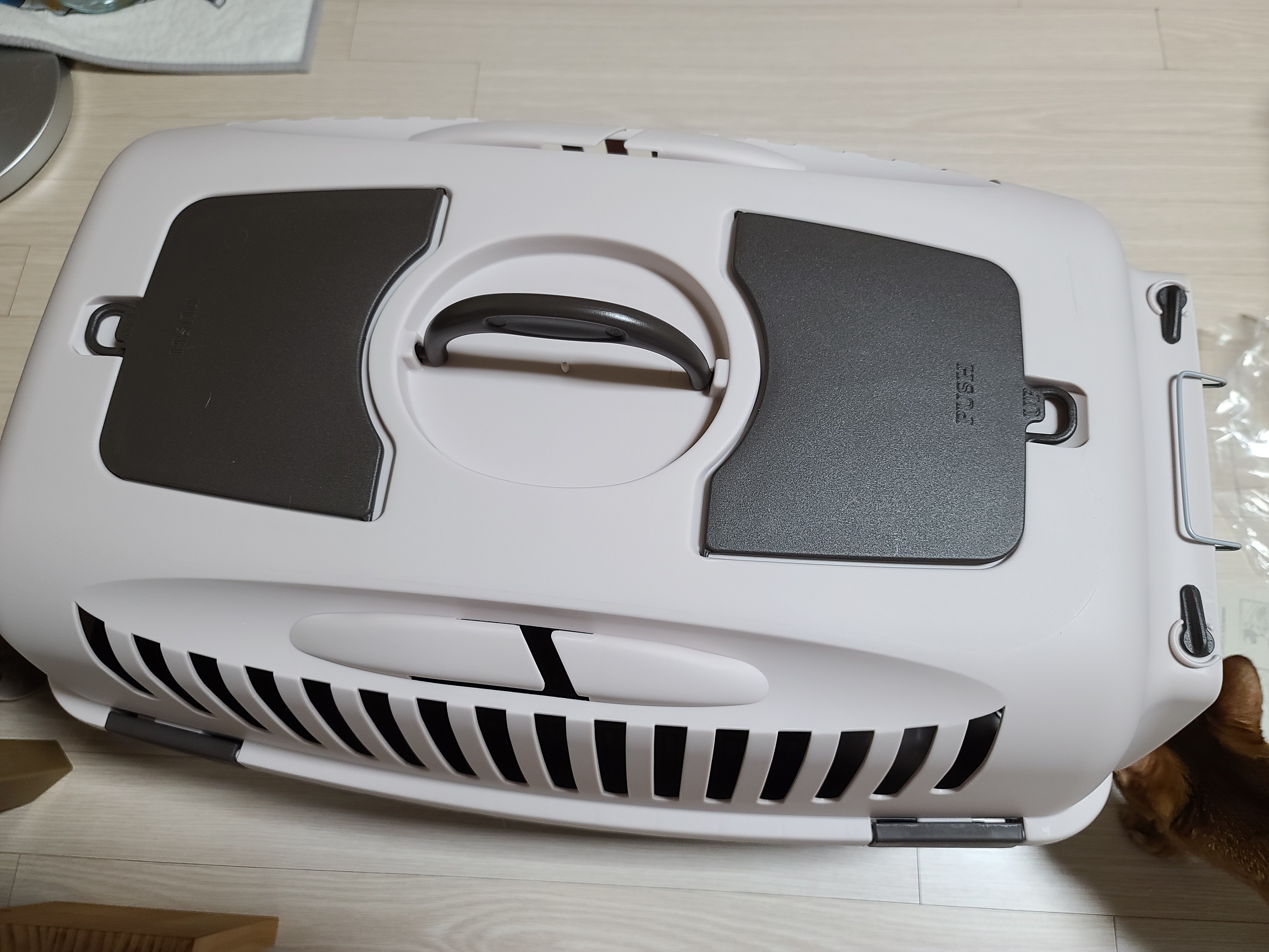 새 이동장이 왔다. 고양이들 총출동!