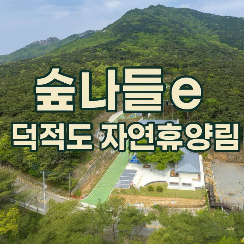 숲나들e 덕적도 자연휴양림 국내 여행지 추천 관련사진
