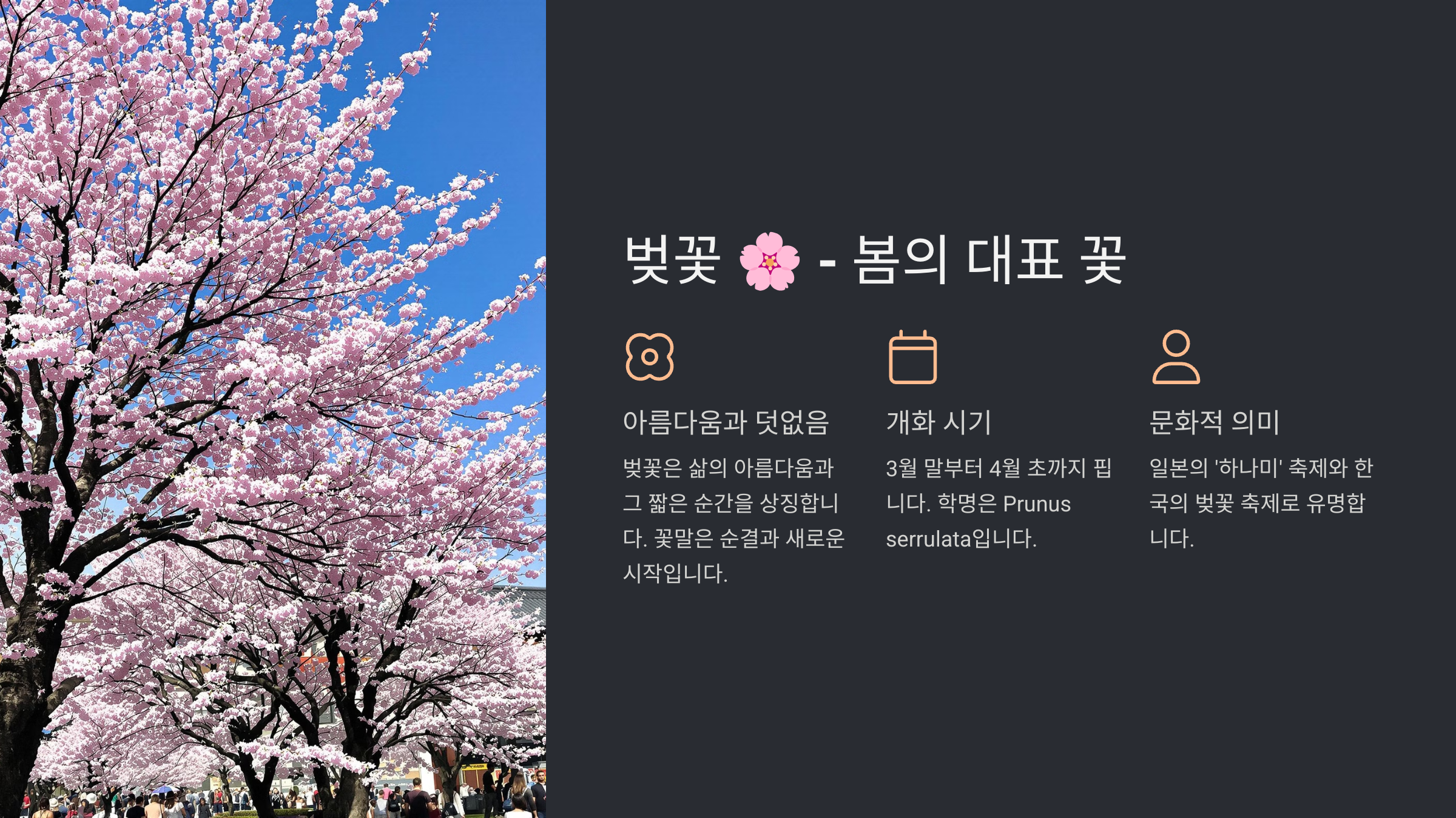 봄꽃 종류와 이름 총정리