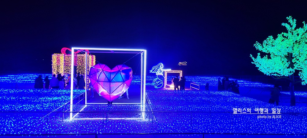 제8회 해운대 빛축제 - 해운대 백사장에 펼쳐지는 아름다운 빛의 물결 (반드시 알아두어야 할 입장정보, 백신접종증명서)