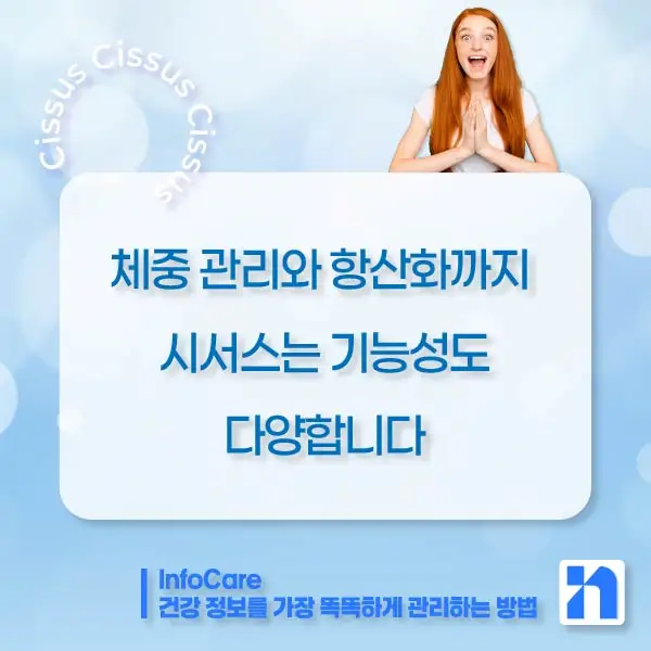 시서스 효능, 다이어트, 복용법