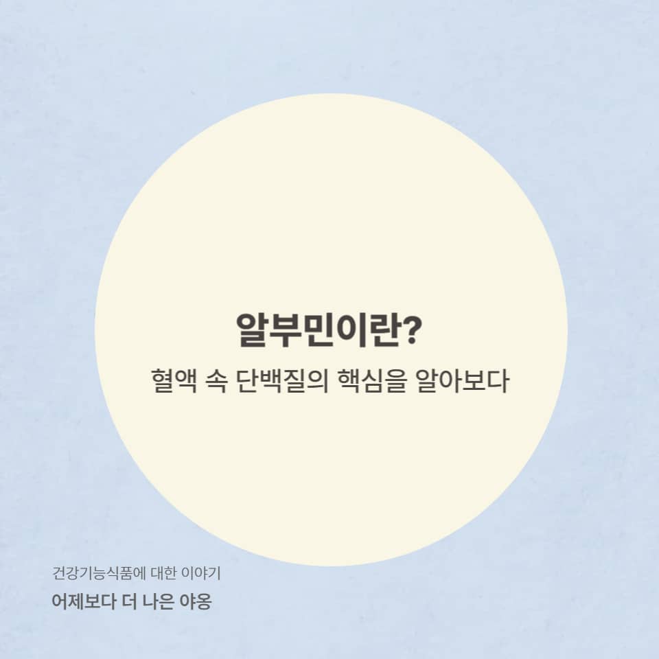 알부민이 무엇인지 설명하는 인포그래픽 이미지로, 혈장 단백질의 정의와 주요 기능이 요약되어 있습니다