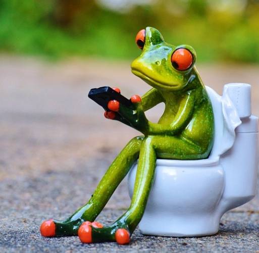 변기에 앉아 스마트폰을 보고 있는 개구리