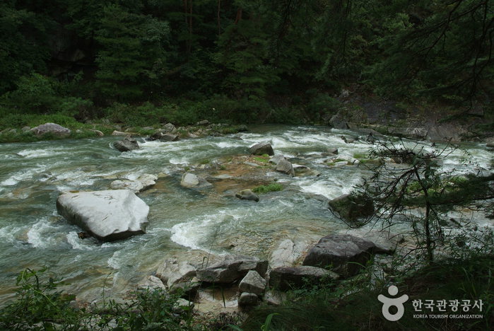 봉화 가볼만한곳 베스트10