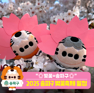 석촌호수 벚꽃 축제
