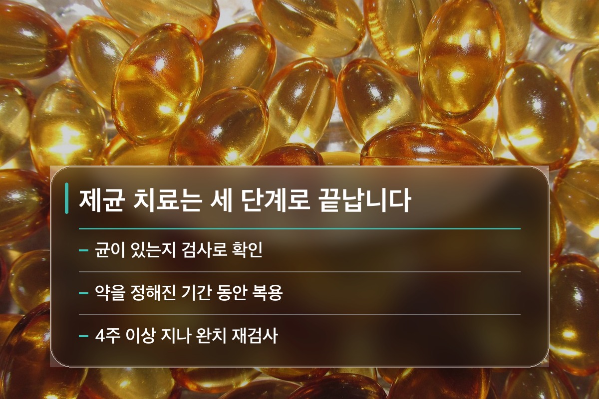 헬리코박터 제균 치료 병원에 가면 어떤 순서로 진행되나요?