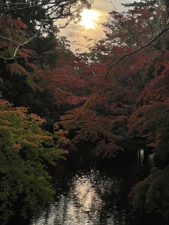 Kinlin Lake
킨린호수