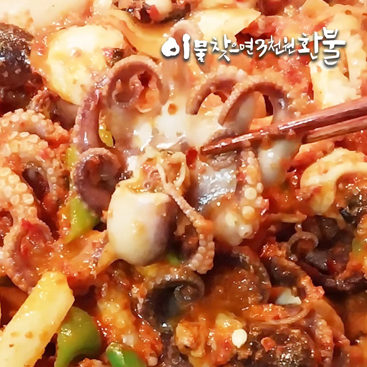 주꾸미 특대사이즈 할인