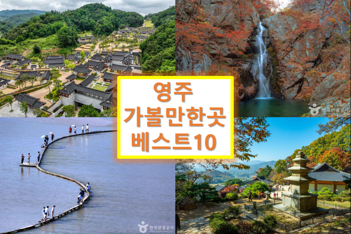 영주 가볼만한곳 베스트10