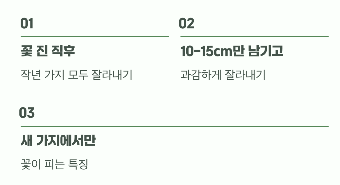풍성한 꽃을 위한 약속, 과감한 가지치기