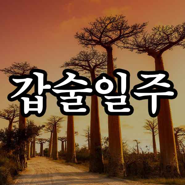 마르고 건조한 땅위의 나무 - 갑술