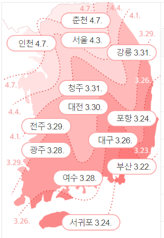봄꽃축제 벚꽃개화시기
