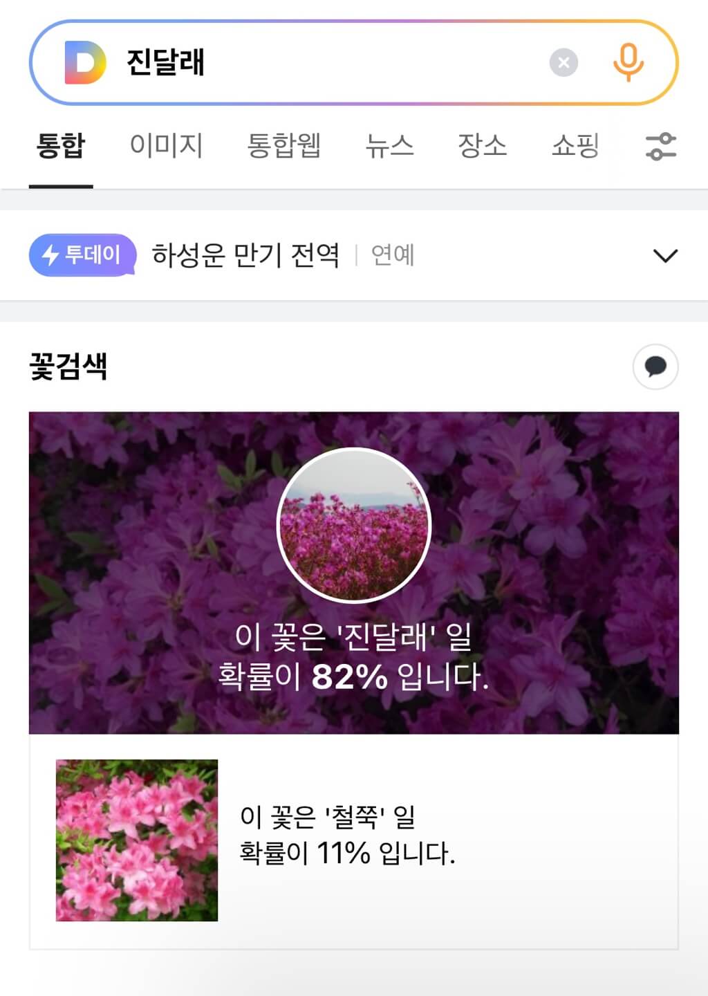 다음 꽃검색