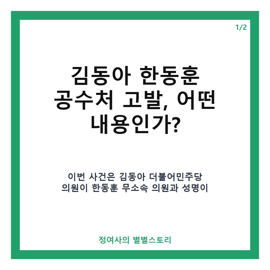 김동아 한동훈 공수처 고발, 비공개 수사 기록 유출 쟁점과 현황 분석 카드뉴스 1
