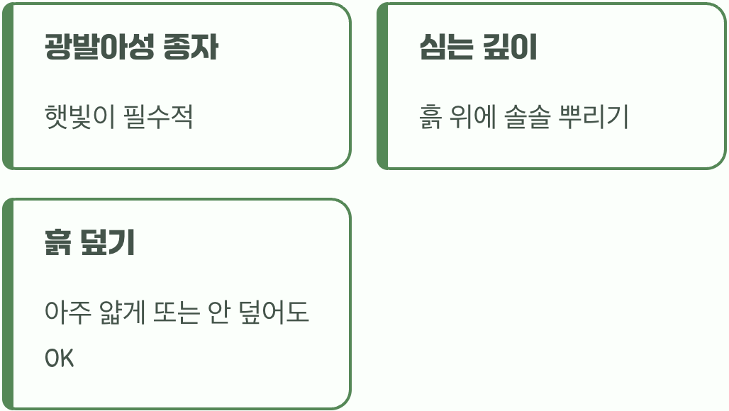 씨앗은 햇빛 이불을 좋아해요