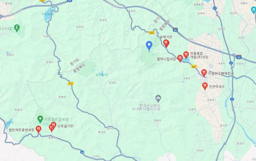 천룡CC 근처 맛집 지도