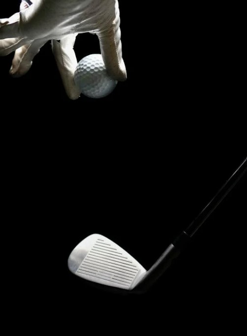 골프회원권 매입 후기, 직접 경험한 리얼 후기와 솔직한 평가