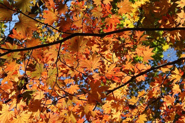 용문산 등산코스&amp;#44; 용문산 단풍 등산&amp;#44; 용문산 가벼운 코스&amp;#44; 용문산 하이킹&amp;#44; 용문산 정상 등산&amp;#44; 용문산 산행&amp;#44; 경기 단풍 등산&amp;#44; 가을 등산 명소&amp;#44; 용문산 종주코스&amp;#44; 서울 근교 단풍 산행