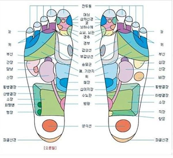 발바닥 지압점