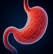 위에 좋은 음식