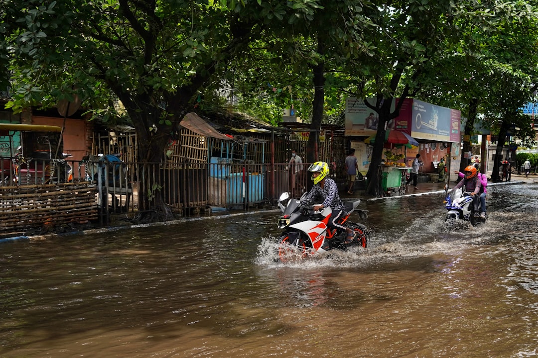 Flood