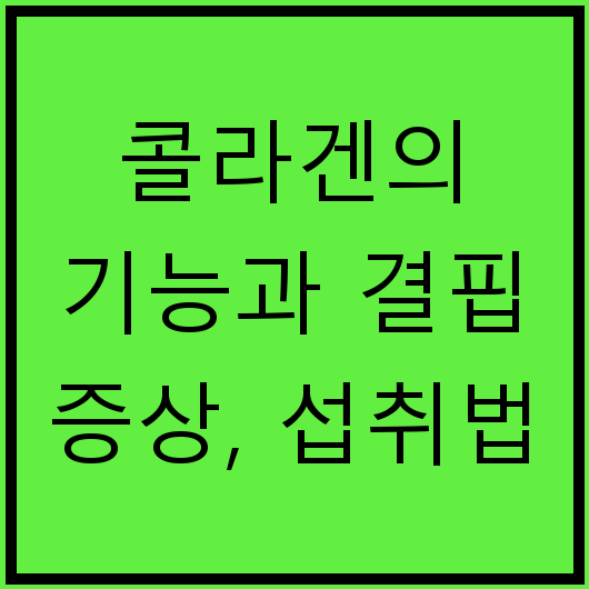콜라겐의 기능과 결핍 증상, 섭취법
