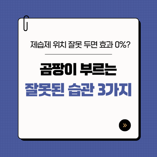 제습제 위치,효과, 곰팡이 예방법