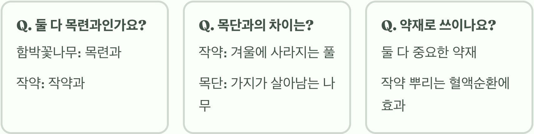 함박꽃나무 vs 작약(함박꽃), 당신이 헷갈렸던 두 식물 완벽 비교!