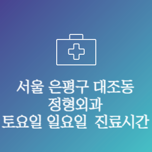 서울 은평구 대조동 정형외과 주말 토요일 일요일 문여는 병원 진료시간