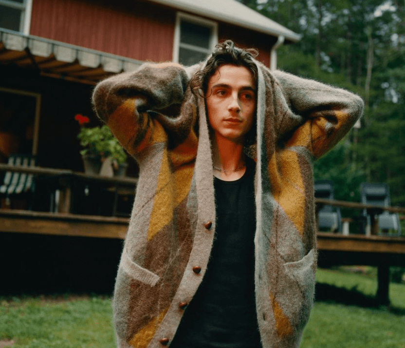 후드가드건을-입은-티모시-샬라메