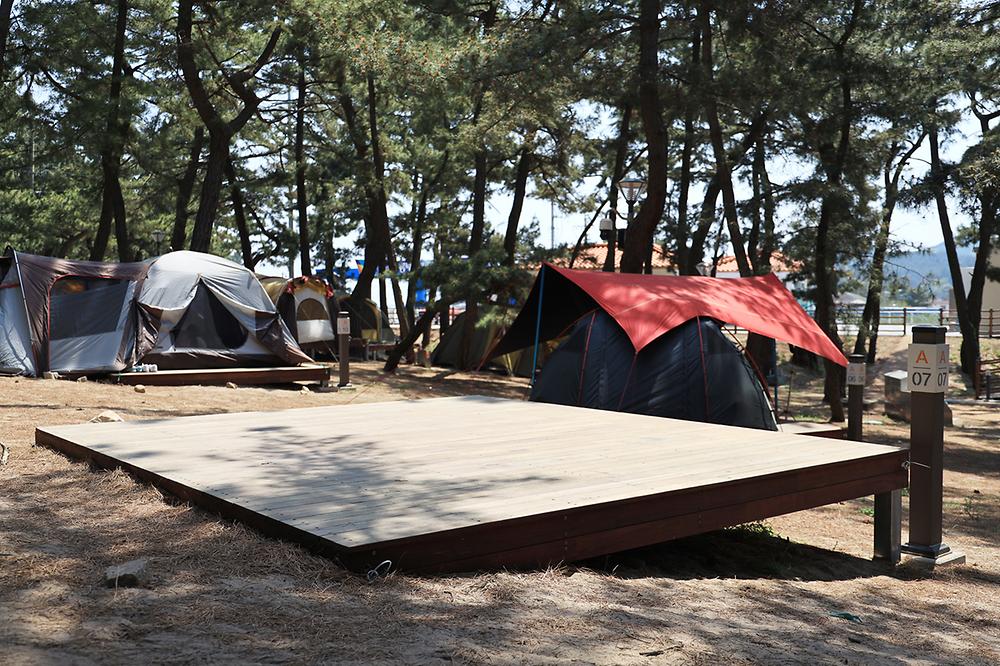 강원도 삼척 맹방비치캠핑장 소개