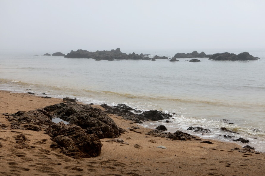 태안 지진 위치 지도