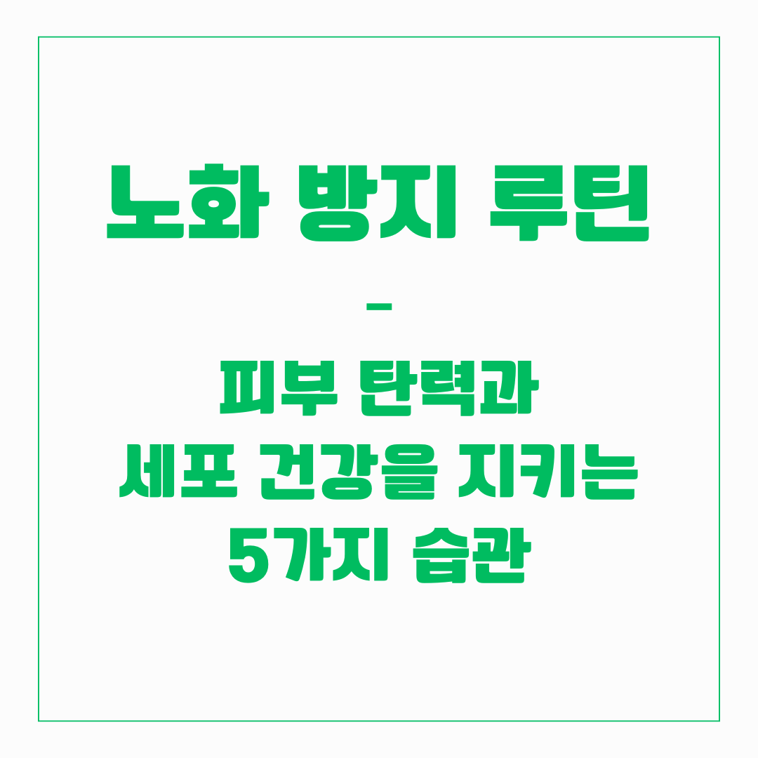 노화 방지 루틴 &ndash; 피부 탄력과 세포 건강을 지키는 5가지 습관