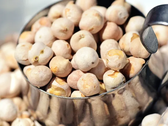 병아리콩 대표효능