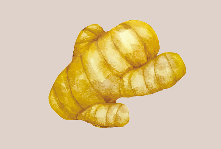 싱싱한-생강의-모습