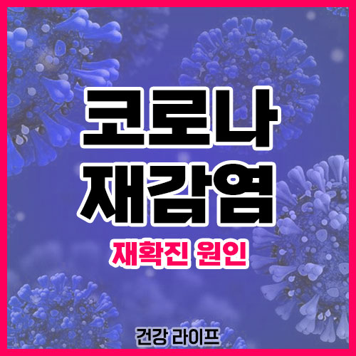 코로나 재감염