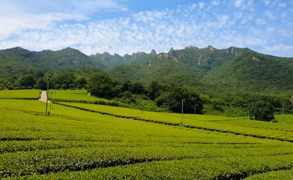 혼자만알고싶은여행지