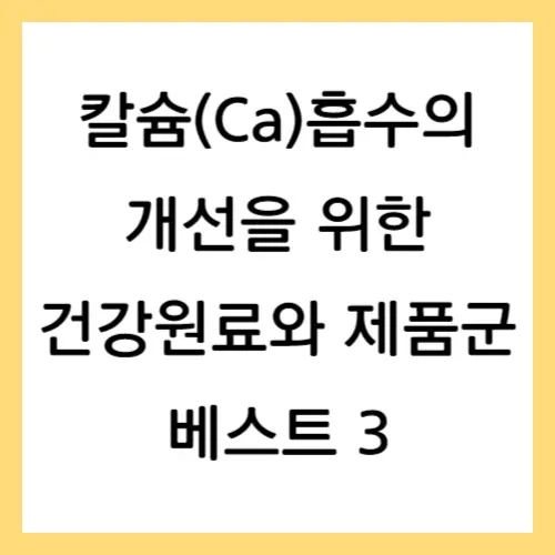 칼슘흡수
