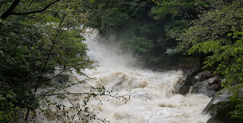 대관령-자연휴양림