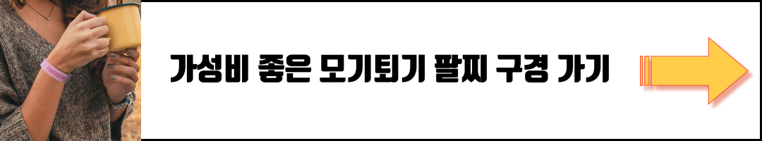 페스티벌 행사 필수 준비템