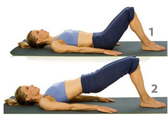 브릿지 – 엉덩이 탄력 & 허리 근력 강화