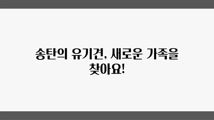 유기견보호소 믿을 수 있는 송탄유기겼호소
