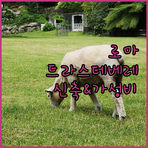 현지인 추천 로마 트라스테베레 호텔 ..
