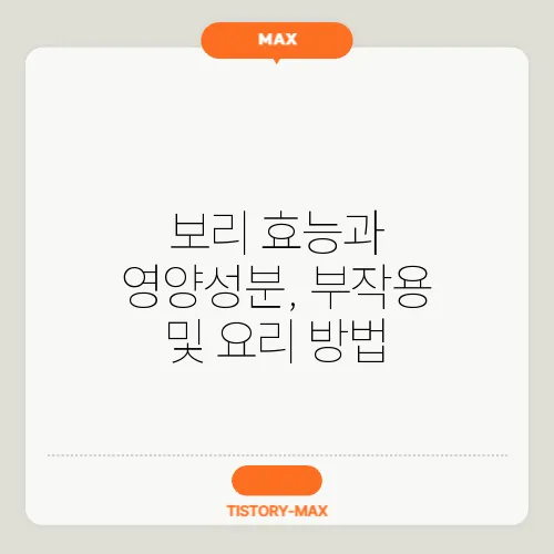 보리 효능과 영양성분, 부작용 및 요리 방법