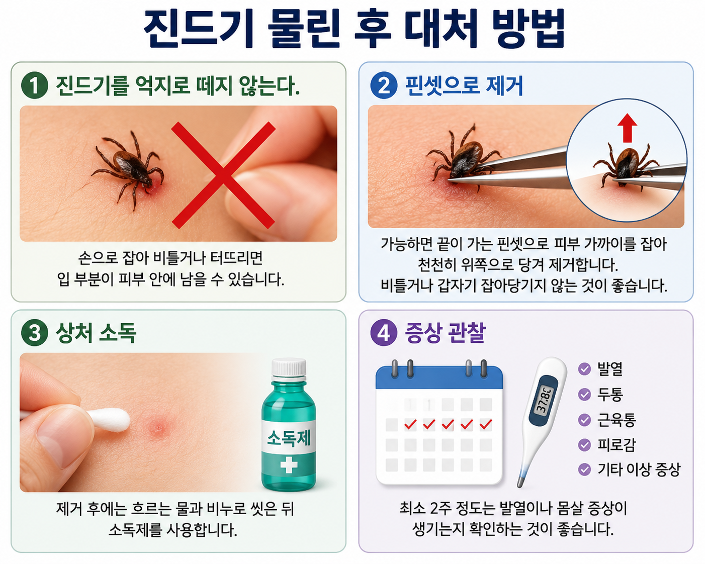 진드기 물린 후 대처방법