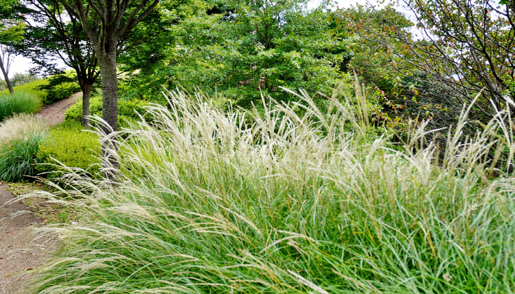 당진 삼선산수목원