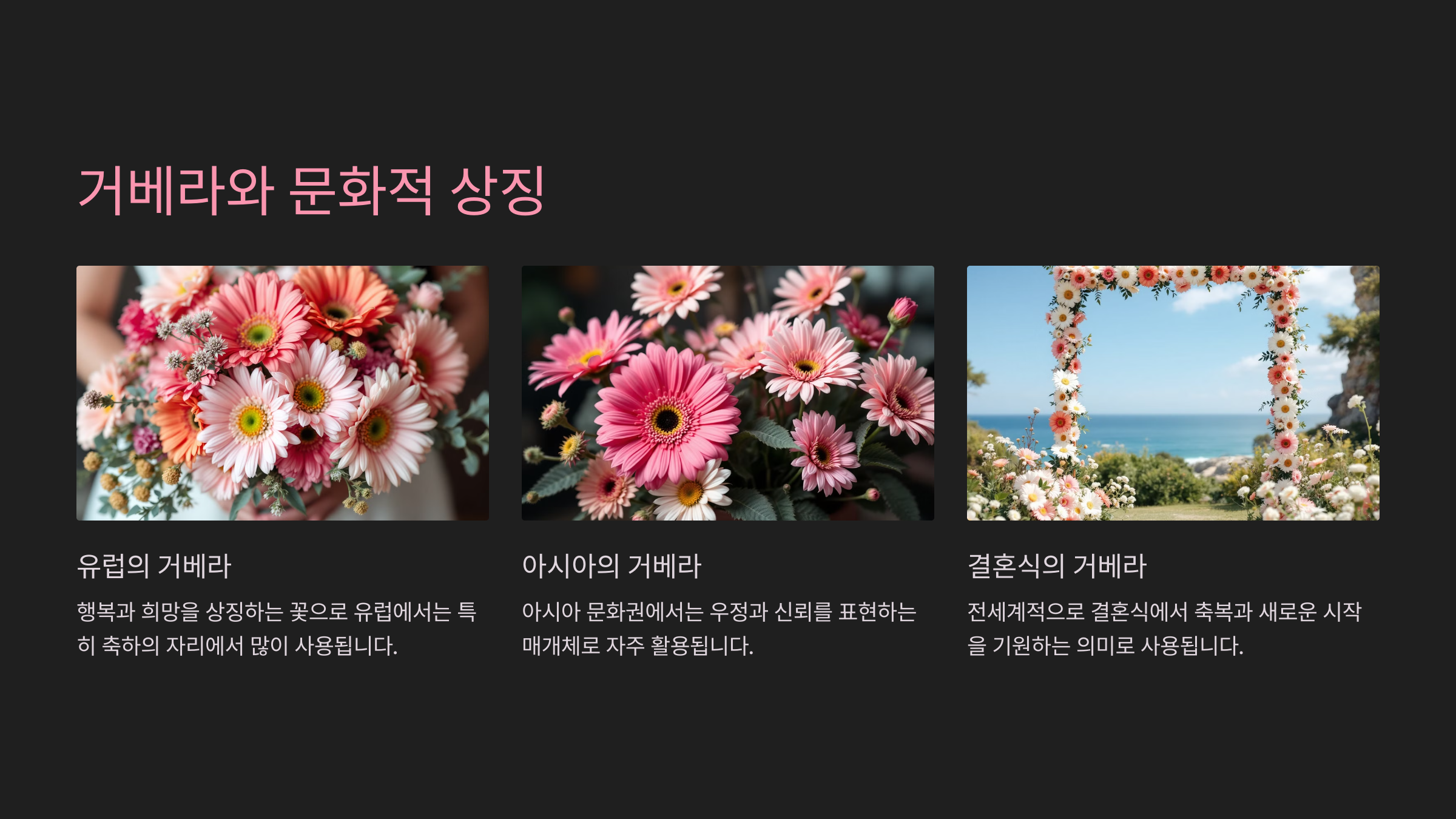 거베라와 문화적 상징