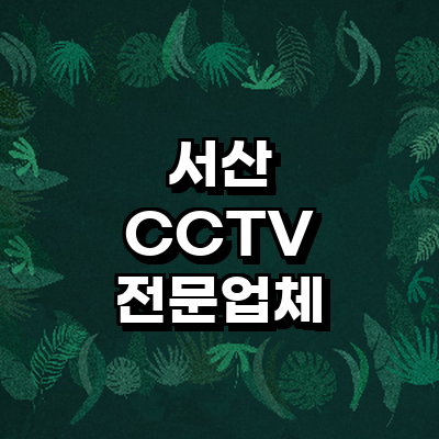 서산시 cctv